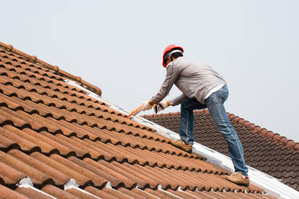 Best Metal Roofing Installation  in Vley, AL